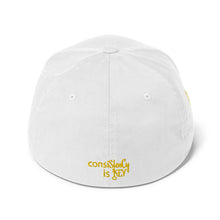 Load image into Gallery viewer, Structured Twill Cap (consiStenCy "Embroidered")