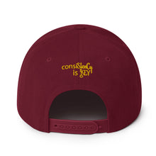 Load image into Gallery viewer, &quot;SK with single key on sides&quot; Snapback Hat
